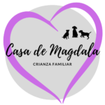 Logo Corazon 2 T