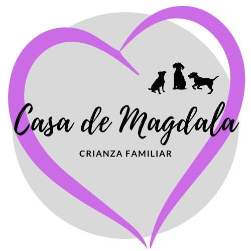 Logo Corazon 2 T